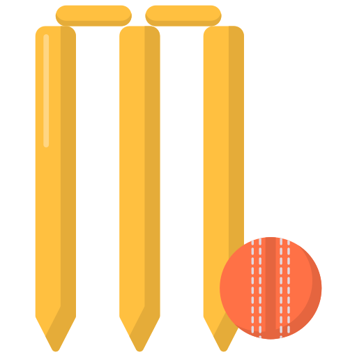 Cricket Pitch icon